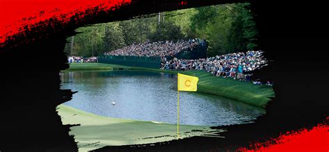 bodog golf|bodog.eu.